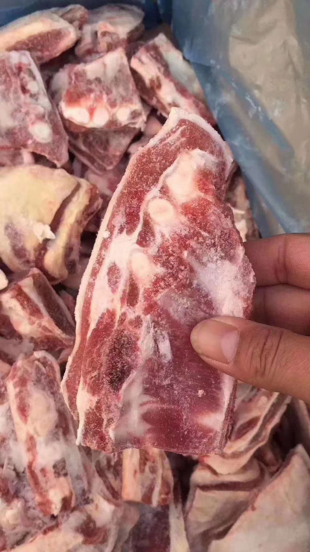 大量批发羊胸排尖羊胸骨头羊蝎子羊脊骨羊脖骨羊棒骨冷链配送