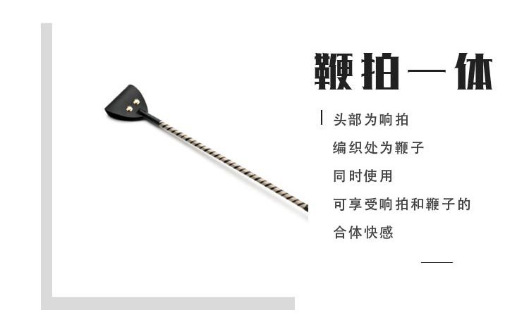 房趣电击鞭子充电情趣电子皮鞭散鞭长柄响拍调教用品女王roomfun
