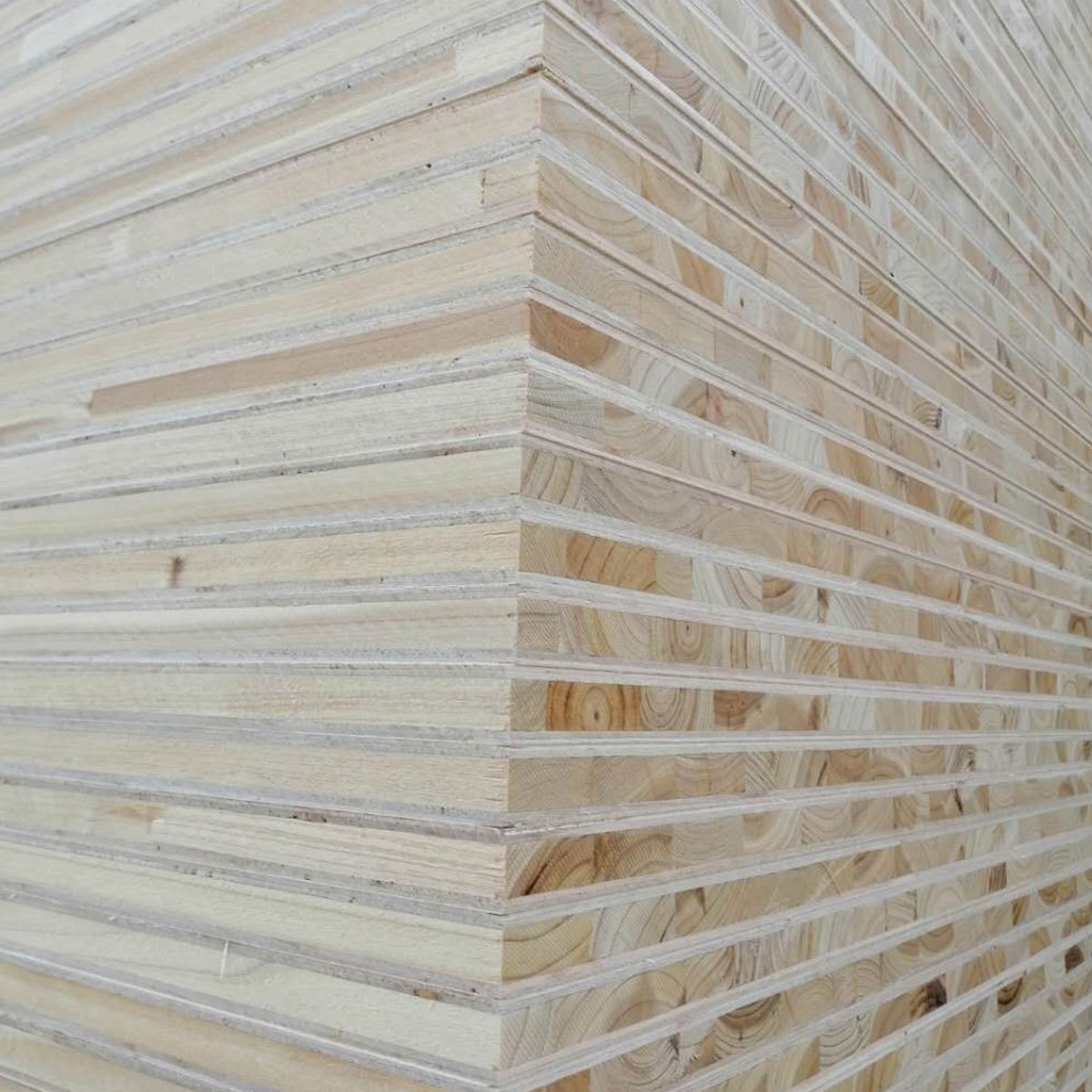 厂家直销16~25mm杉木大芯板家具板定制装修板环保板生态免漆板