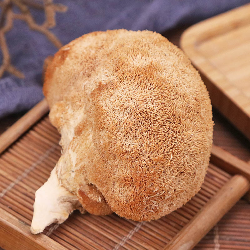 猴头菇 新鲜干货 猴头姑菌菇山猴头菌蘑菇中药材店铺