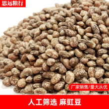 【麻豇豆】 麻豇豆 梨花豇豆 麻江豆现货