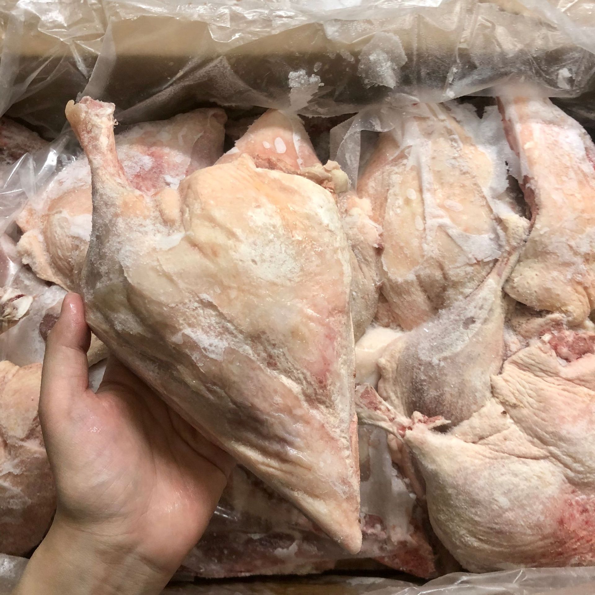 六和鸭边腿六合鸭腿新鲜冷冻鸭边腿19斤/箱