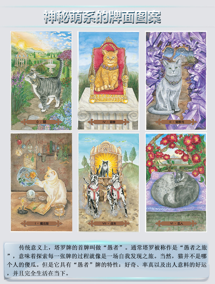 塔罗牌 正版神秘的猫魅塔罗牌猫咪占卜全套说明书牌袋套装进口