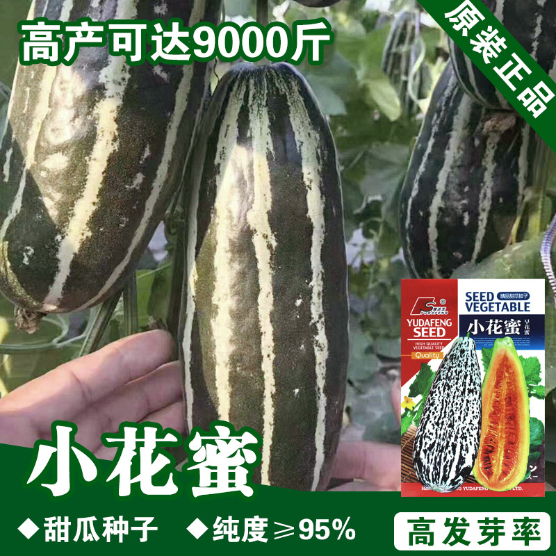 0成交222千粒水果种子羊角蜜种子香瓜种子羊角酥种子甜瓜种子脆瓜种子