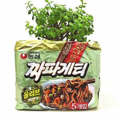 韩国进口农心炸酱面 炸酱干拌面速食袋装方便面一箱40小包