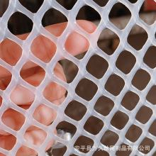 河北塑料平网厂家 养鸡塑料漏粪网 养鸡塑料平养网 塑料网片