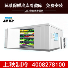 上海上秋安装设备 冷冻冷藏库 蔬菜保鲜 水果冷藏库 小型冷库