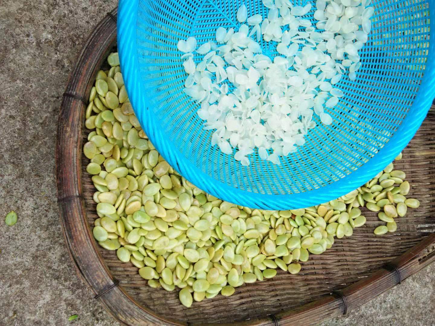 云南梁河单荚皂角米 薄片手剥晒干雪莲子500克一件代发