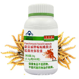 康富丽牌蝙蝠蛾拟青霉菌丝体胶囊虫草体贴牌代加工
