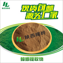 美洲大蠊提取物 50:1高比例蟑螂粉 蟑螂提取物 水溶 1kg起订 含运