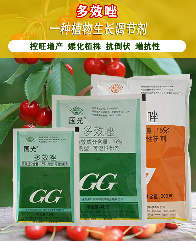国光多效唑 小麦芒果荔枝柑橘多肉控旺控徒长促花芽矮化调节剂18g