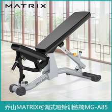 美国乔山MATRIX可调式哑铃训练椅MG-A85商用健身房举重卧推飞鸟凳