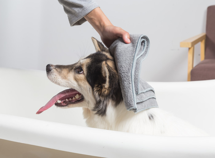 宠物洗澡按摩刷 狗狗洗澡按摩梳 清洁美容工具 除毛刷洗澡刷