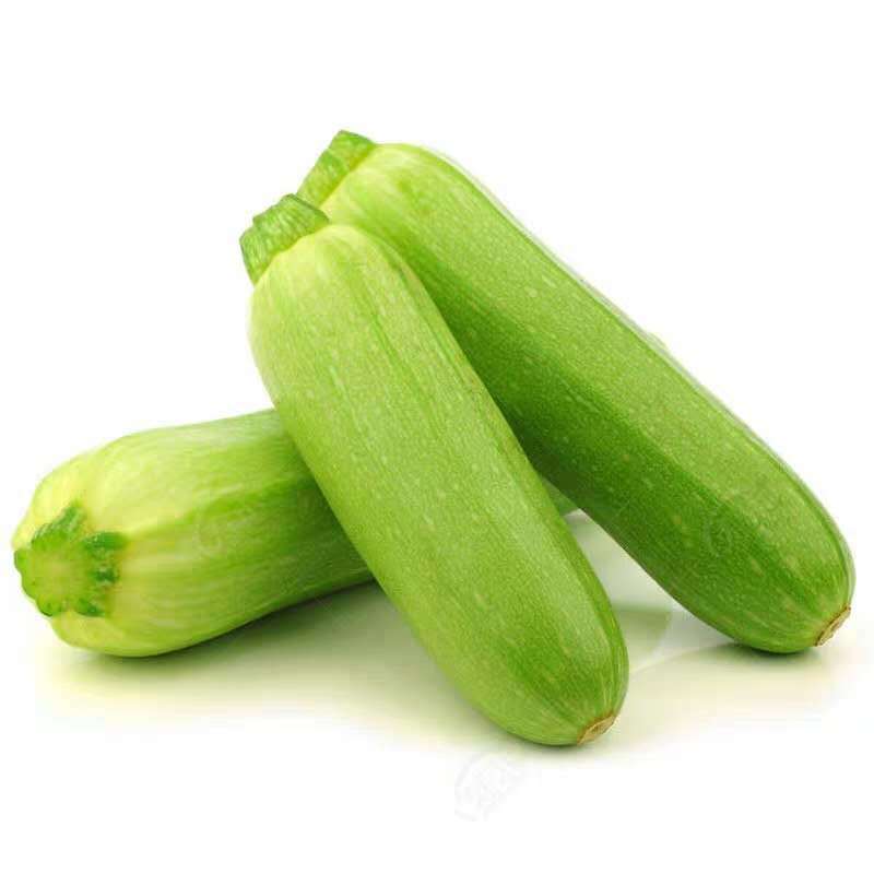 春播西葫芦种子四季田园小占瓜种籽农家早熟杂交新品种西葫芦种孑