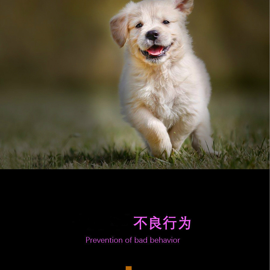 kyjen酷极宠物玩具 七连环/九连环 狗玩具 宠物玩具用品直销