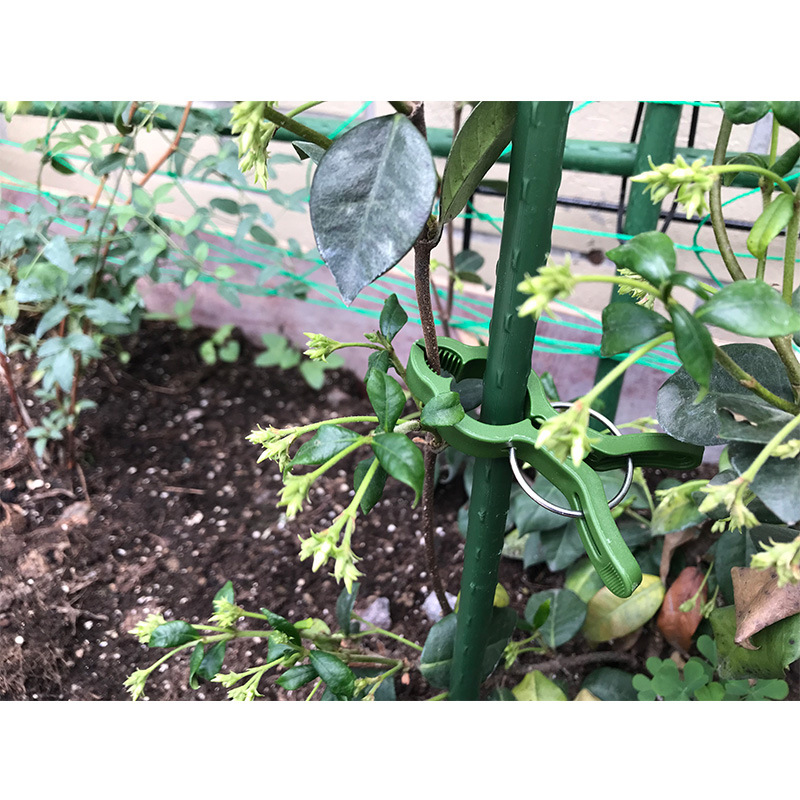 吊蔓夹 番茄夹 吊放器 西红柿卡扣 落蔓夹 吊秧器 植物夹 园艺夹