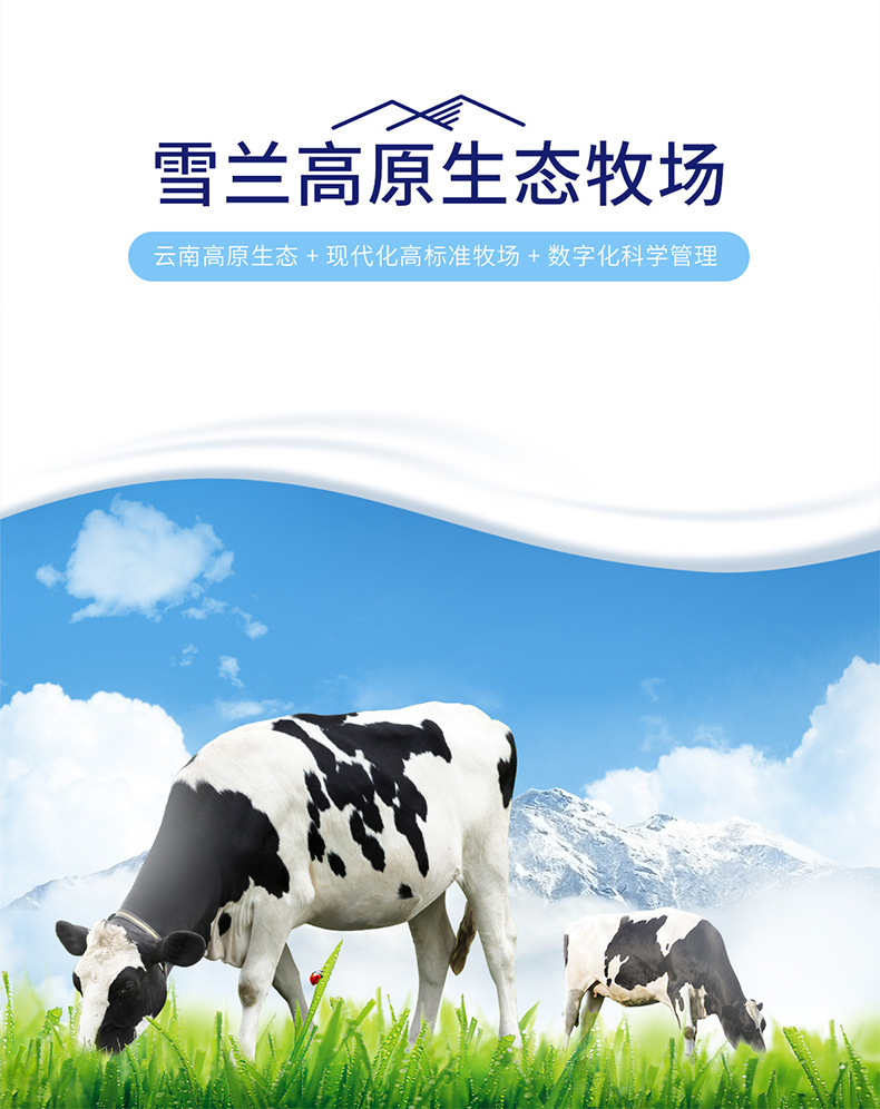 新希望(雪兰)心花怒fun全脂高原纯牛奶一提装代发
