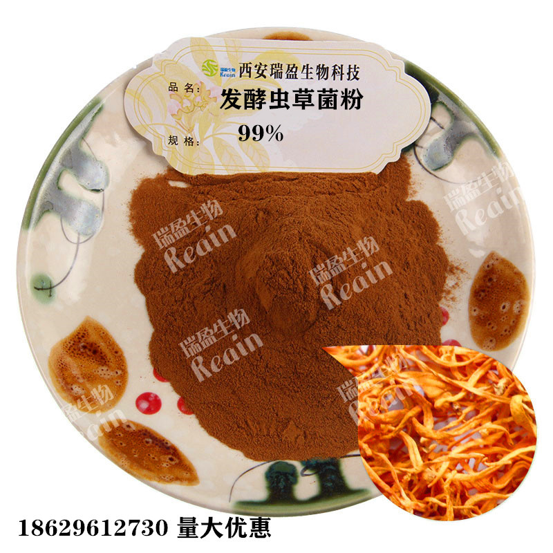 虫草菌粉 发酵虫草菌粉蝙蝠蛾拟青霉cs-4 虫草菌丝粉 厂家现货