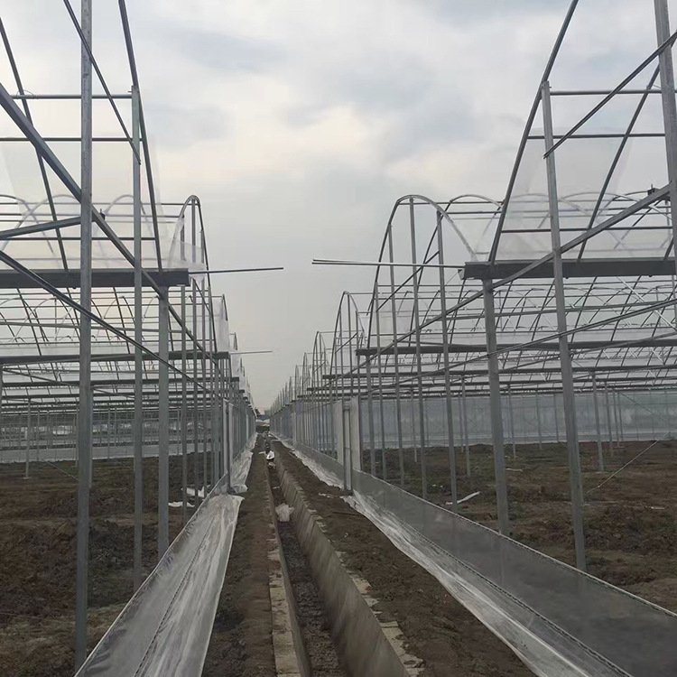 钢管大棚骨架肩并肩连体连栋大棚养殖温室大棚按需加工