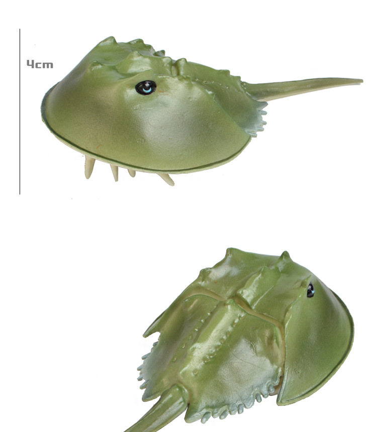 跨境仿真海洋动物模型螃蟹玩具 塑胶玩具实心动物玩具模型 鲎