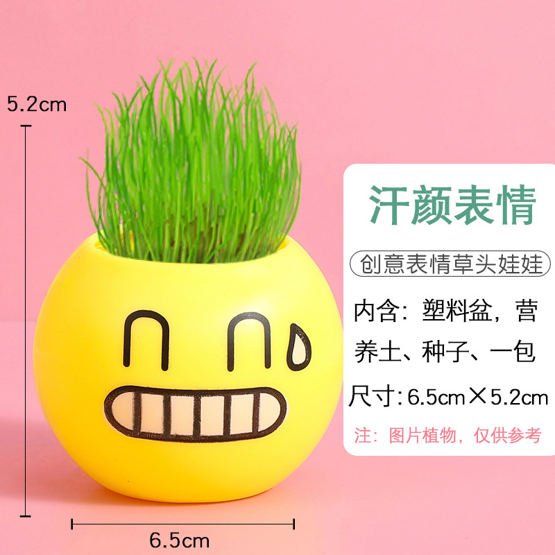 Children's Planting Festival Planting Small Pot Plant Mini Potted Grass Doll Office Desk Surface Panel Green Plant Small Ornaments Plants