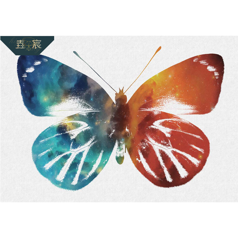 5d钻石画 彩色蝴蝶客厅玄关装饰画创意diy手工钻石绣外贸新款直销