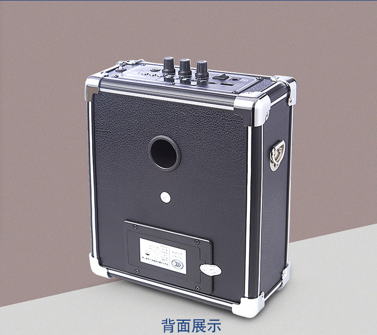 戴乐q70bt音箱 户外功率音响广场音箱 插卡插优盘 可录音