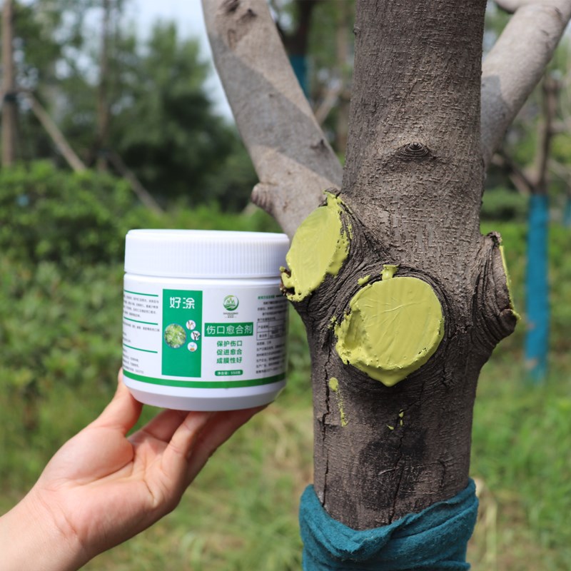 树木伤口愈合剂植物切口涂抹剂嫁接刀口涂补剂愈伤膏果树修剪愈合