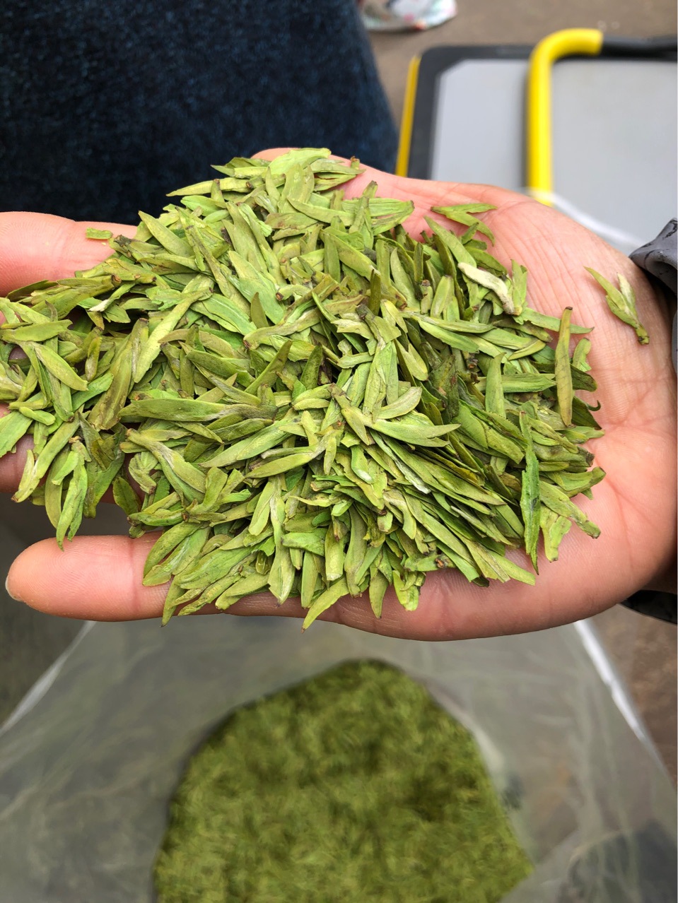 2021松阳县百汇茶行直销,新茶精品白茶龙井