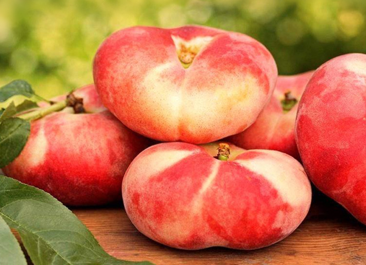 【爱心助农】新疆石河子143团蟠桃 新鲜水果当季水蜜桃毛桃子包邮