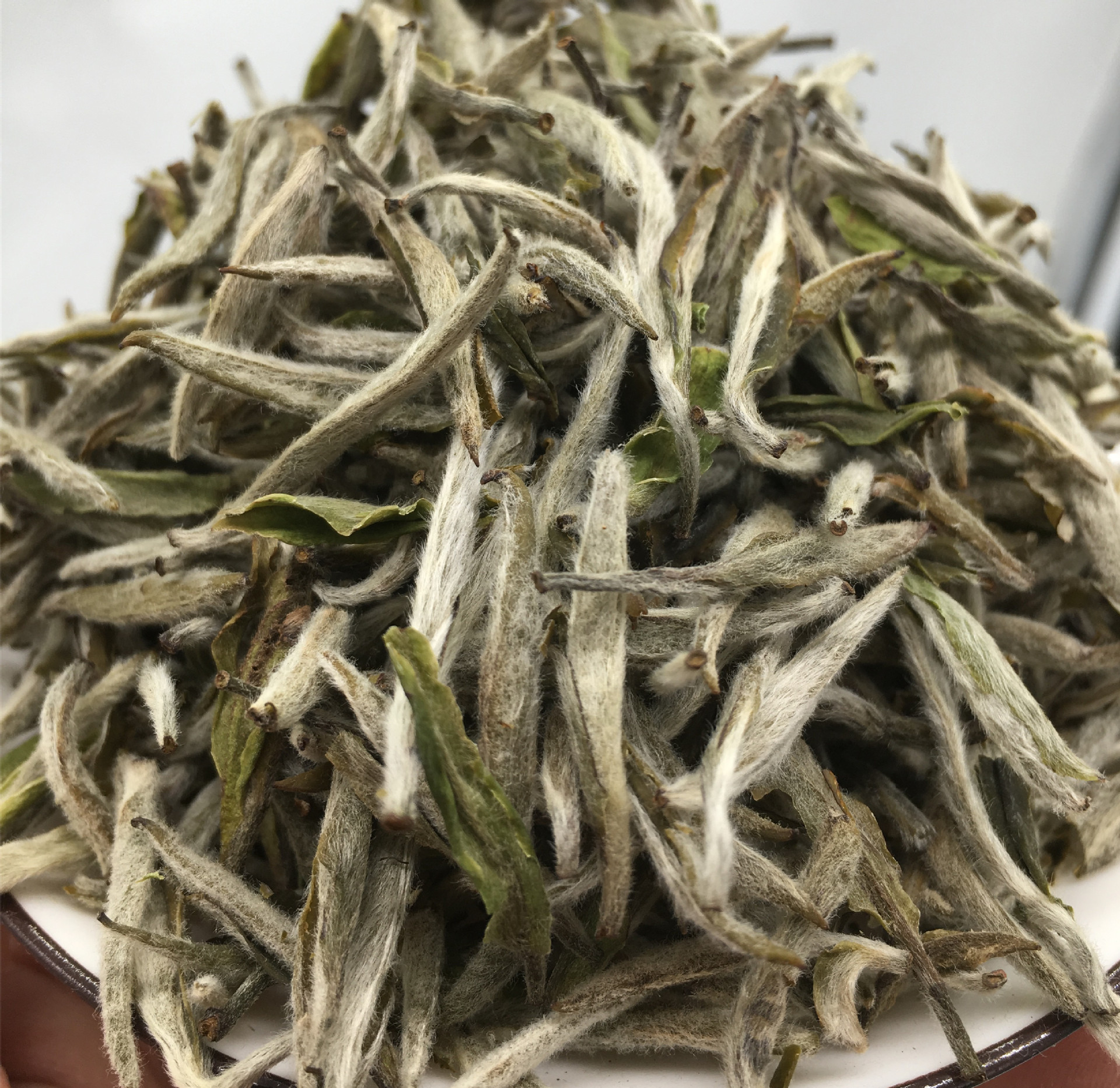 厂家批发白毫银针福鼎的白茶福建白茶寿眉白牡丹王散茶500g批发