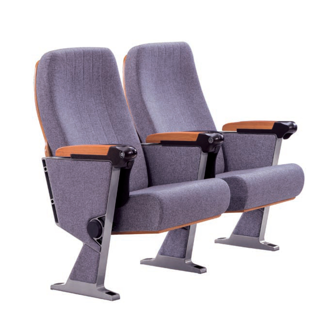 学校音乐厅会议室报告厅电影院影剧院礼堂椅阶梯式座椅椅子排椅