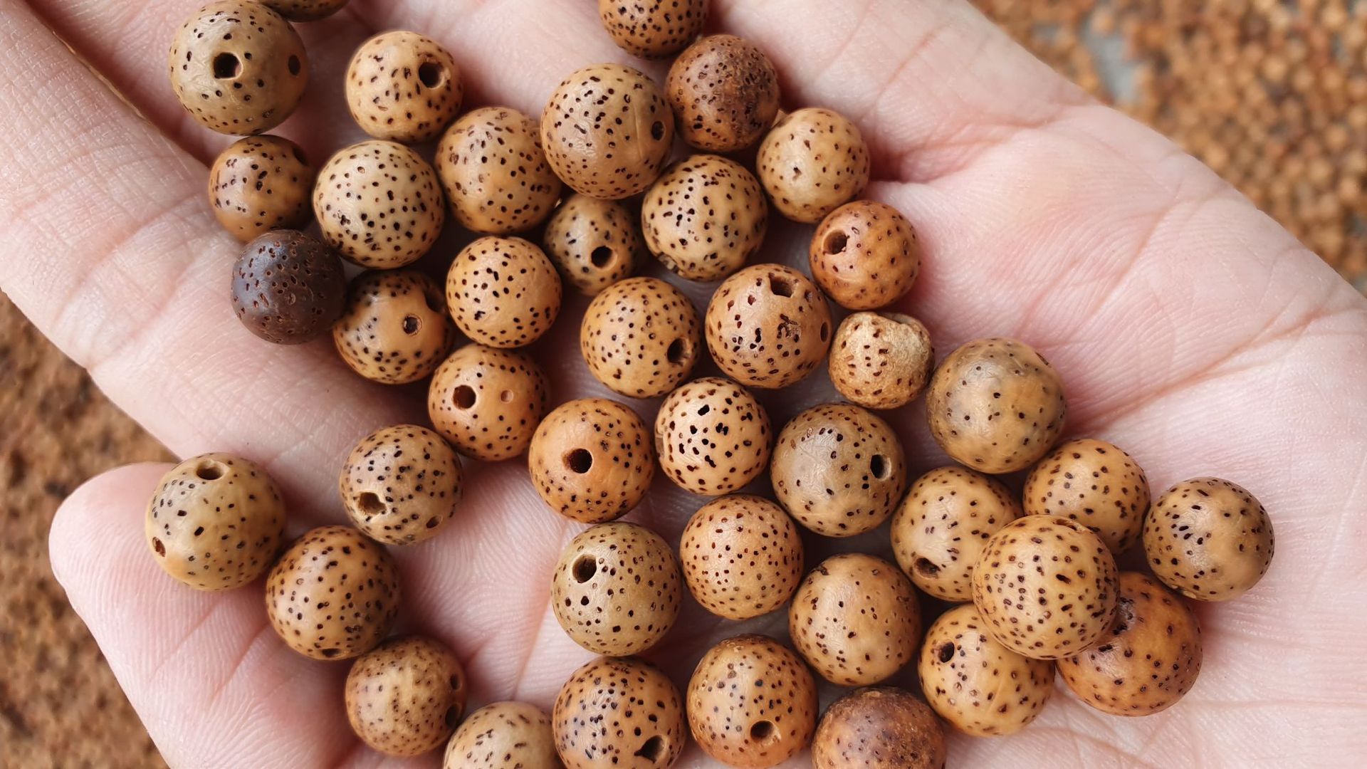 正宗星月 陈籽原色念珠 8mm 9mm老星月 菩提子手串 佛珠108颗