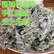 茵陈中药材草药绵茵陈茵陈茶棉茵陈500g棉陈整棵茵陈