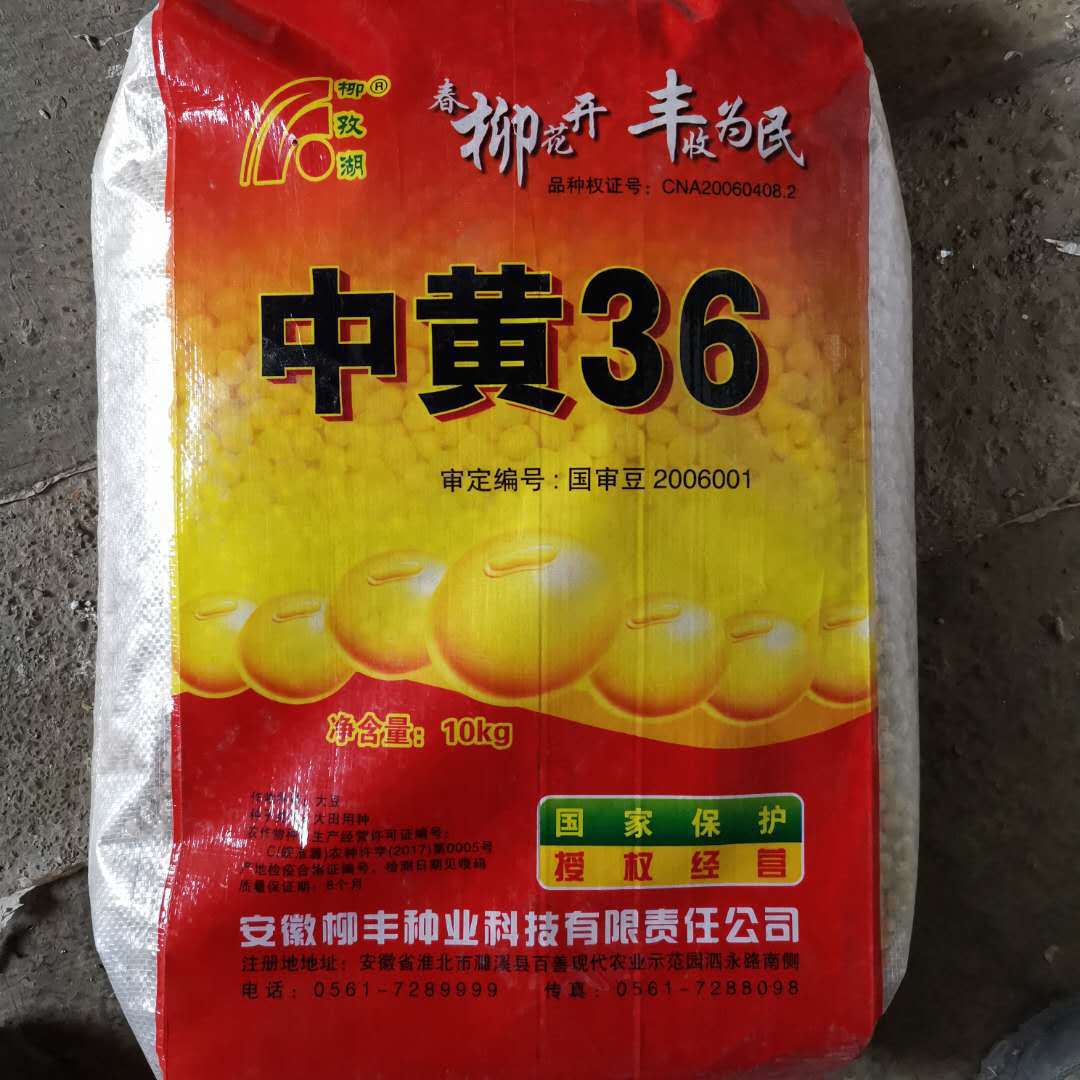 黄豆种子高产中黄13金大豆圣豆徐豆亩产千斤农户大面积种植大豆种