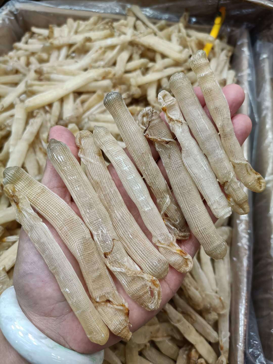 厂家直销 一德路海味大号沙虫干500g去沙袋新鲜海味沙虫干货现货