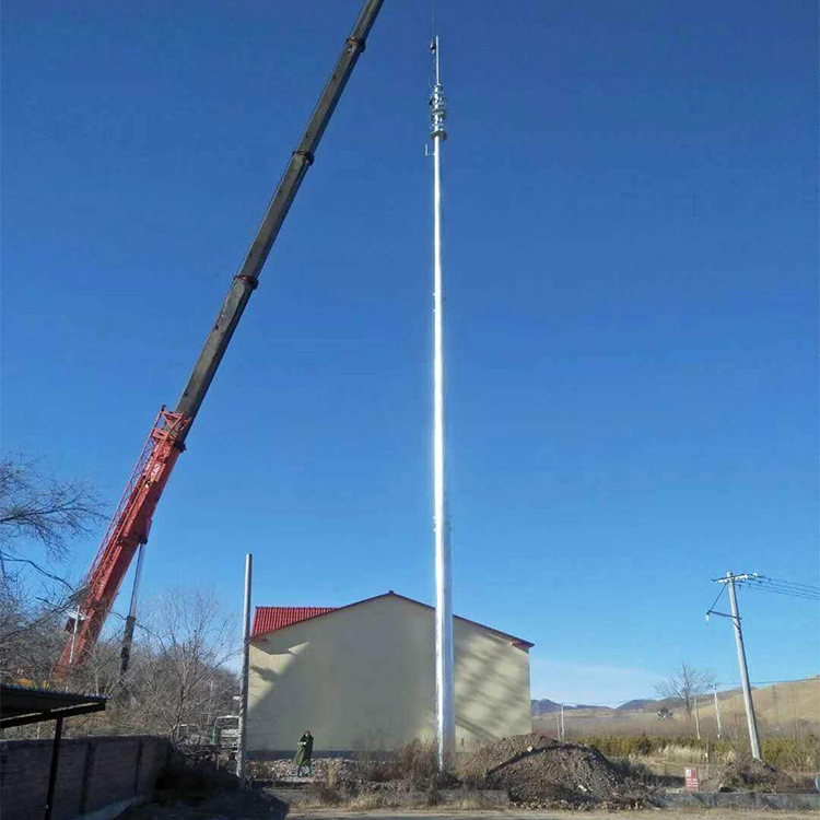 风电场避雷塔 仓库避雷塔 养殖猪场避雷针塔 加油气站避雷塔 铁塔
