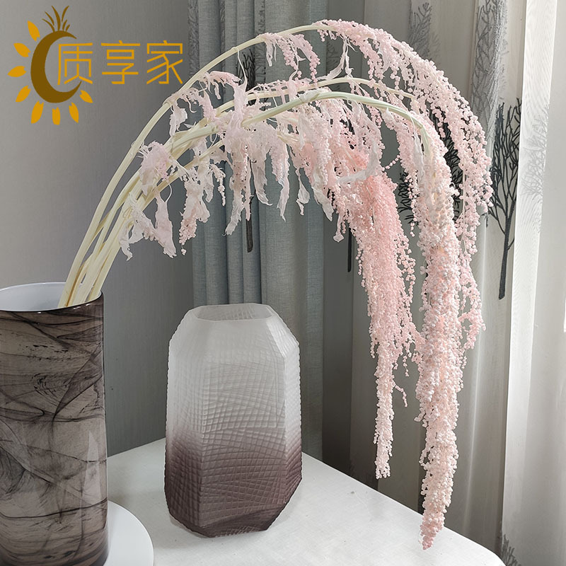 情人泪永生花材料 线状花柔丽丝文竹天门冬婚礼花艺布景拍照道具