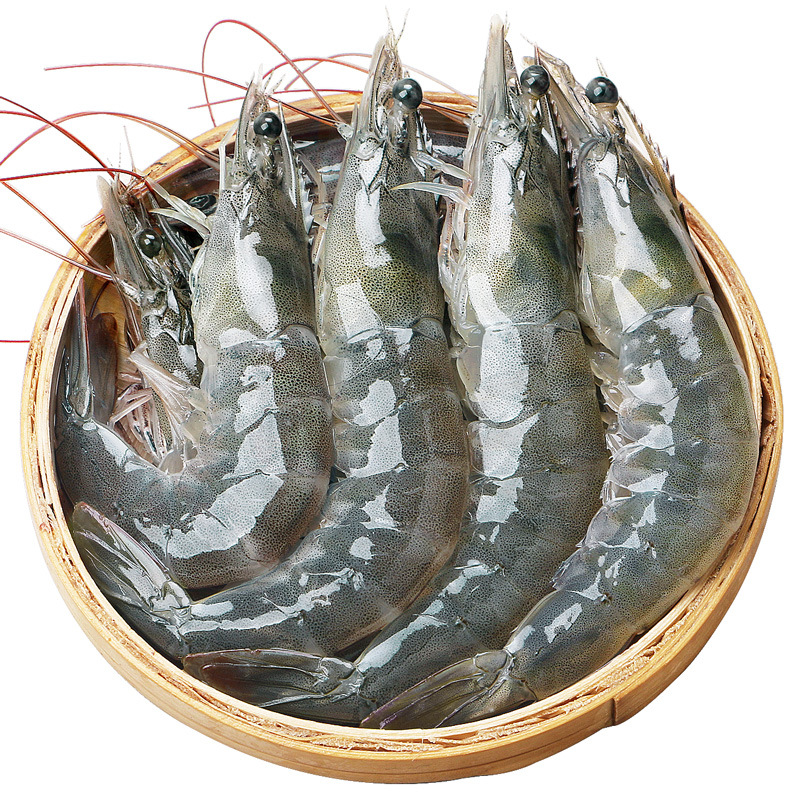 新鲜大虾活虾鲜活速冻海鲜特大超大冻虾冰虾基围虾冷冻非厄瓜多尔