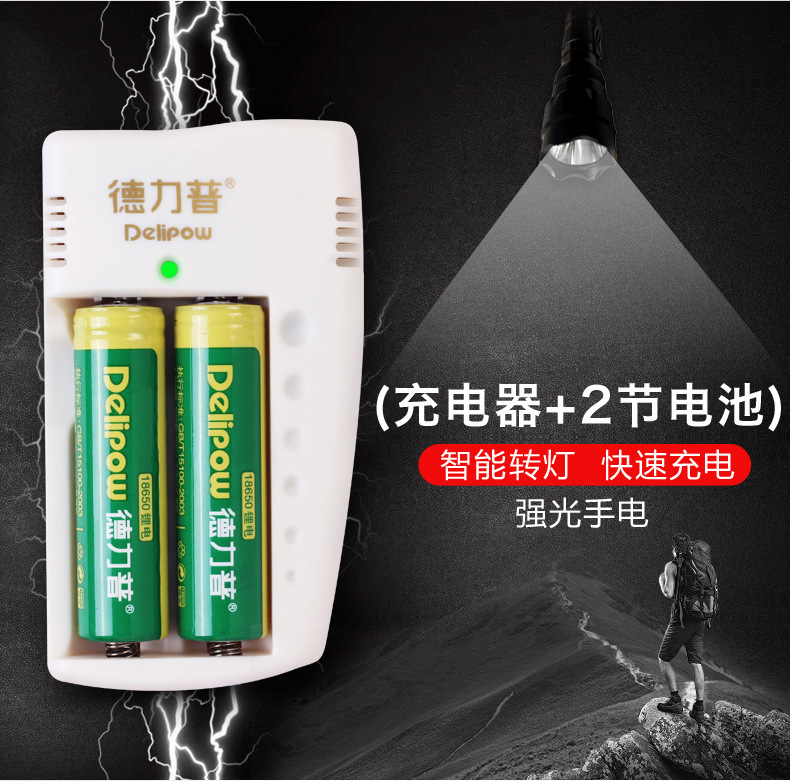 德力普(delipow) 充电电池 18650锂充电电池套装