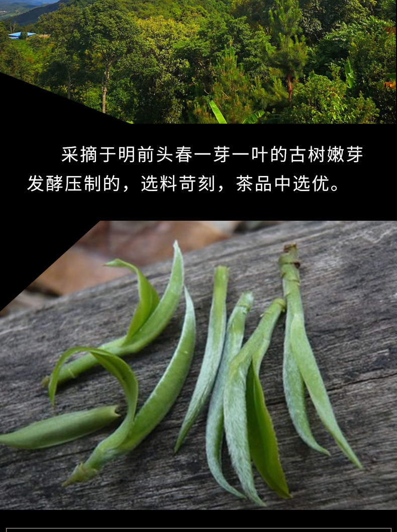 云南海复兴号普洱茶生茶银芽 一口料高山单芽茶云南七子饼茶包邮