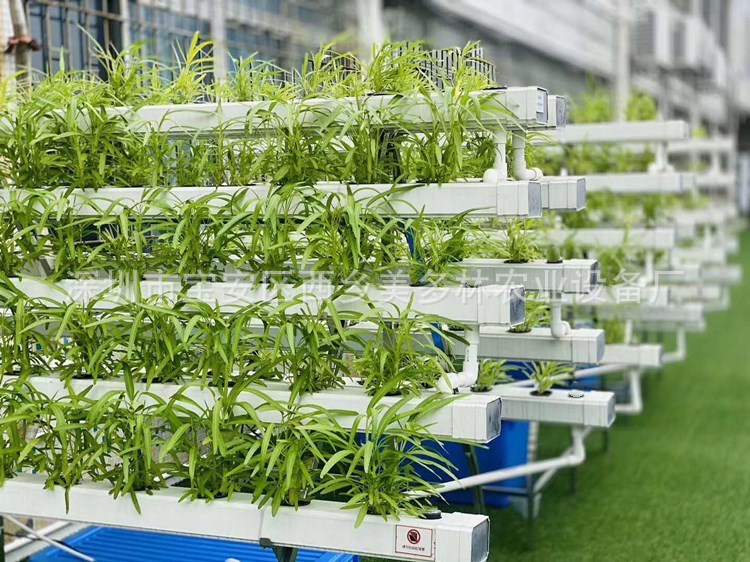 无土栽培设备阳台种菜家庭菜园有机蔬菜瓜果大棚温室种植管式pvc