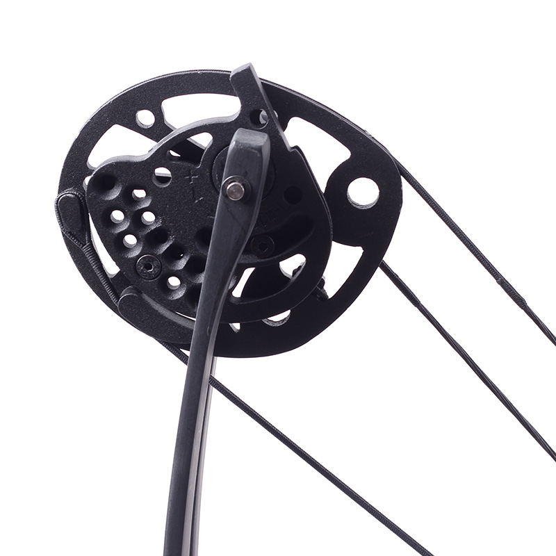 鹰隼l1复合滑轮弓 户外打鱼反曲弓箭射箭渔猎射鱼配件 射击猎弓