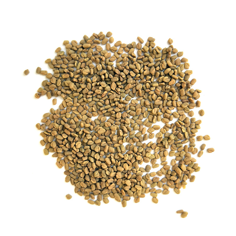 中药材 芦巴子/苦豆/香草籽/葫芦巴/苦草/胡巴/芸香草500g2斤包邮