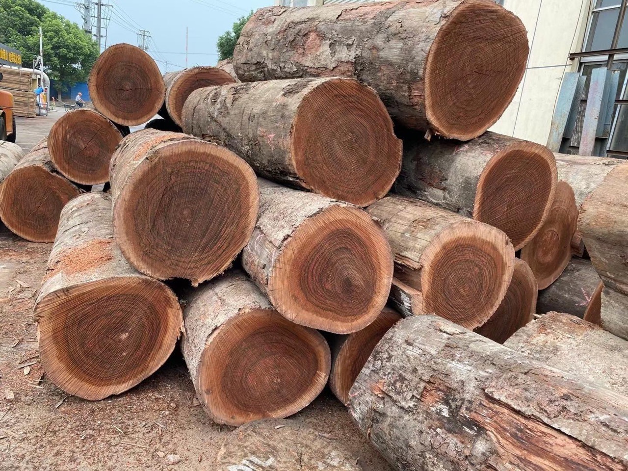热销巴新酸枝 酸枝原木木材 定尺加工酸枝板材 酸枝规格实木木料