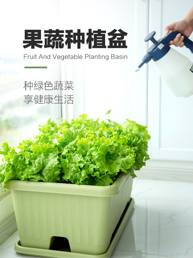 爱丽思iris长方形蔬菜种植盆大号长条盆爱丽丝家庭阳台种菜盆花盆