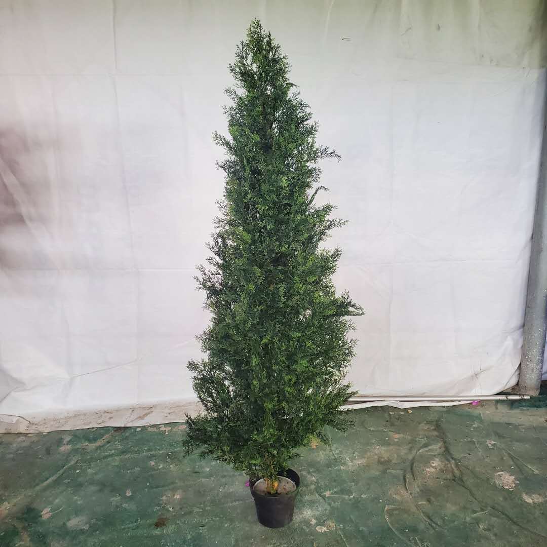 定做单独包装仿真柏树 假松树 小型圣诞树定做 松柏树盆栽