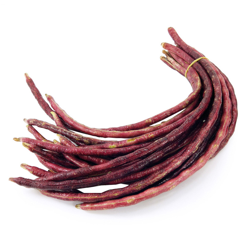 紫红豇豆种籽豆角种子农家菜园四季豆挂面红菜豆豇豆种籽孑蔬菜籽