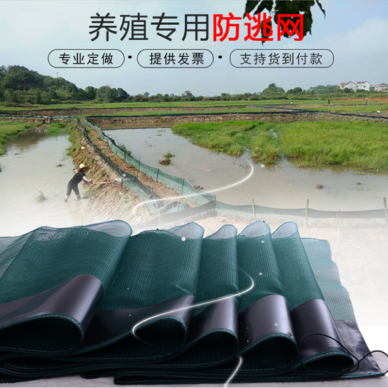 小龙虾养殖防逃网甲鱼螃蟹青蛙水产养殖防逃网虾池鱼塘围网网布
