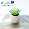 new pattern originality Decoration simulation Succulent plants pineapple ceramics bonsai Manufactor Supplying Cross border Specifically for Artificial Flower new pattern originality Decoration simulation Succulent plants pineapple ceramics bonsai Manufactor Supplying Cross border Specifically for Artificial Flower